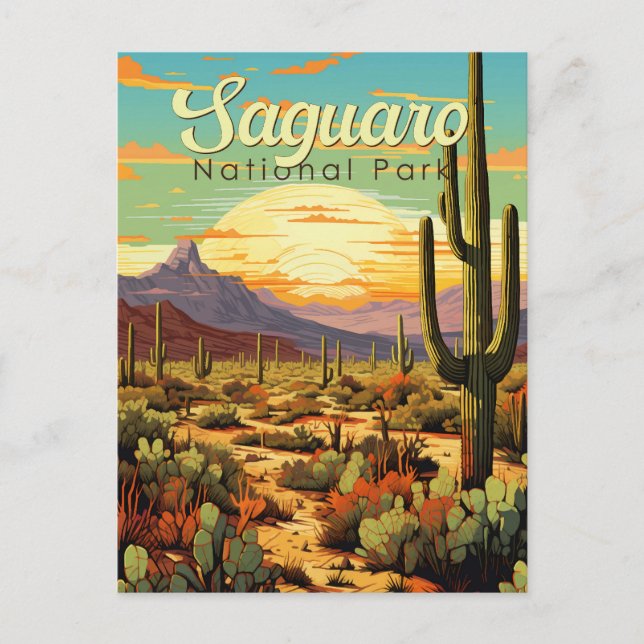 Saguaro National Park Illustration Retro Postcard (Front)