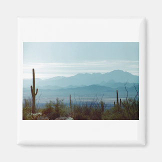 Saguaro National Park Magnet