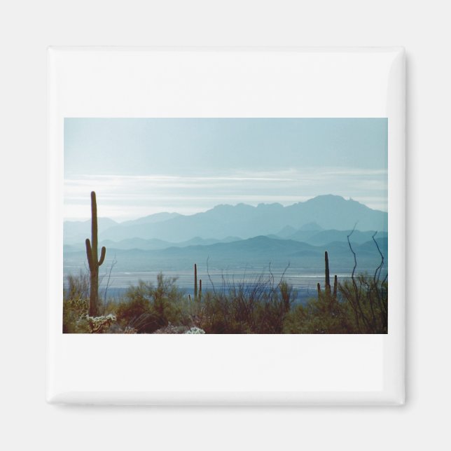 Saguaro National Park Magnet (Front)