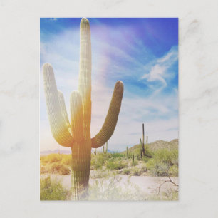Saguaro National Park Postcard