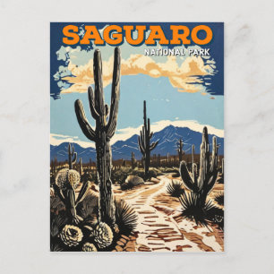 Saguaro National Park  Postcard
