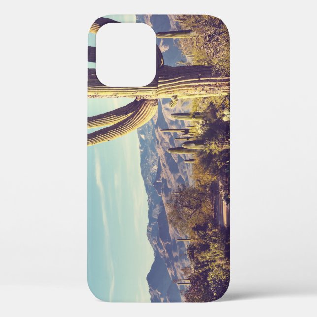 Saguaro National Park, scenic representation. Case-Mate iPhone Case (Back)