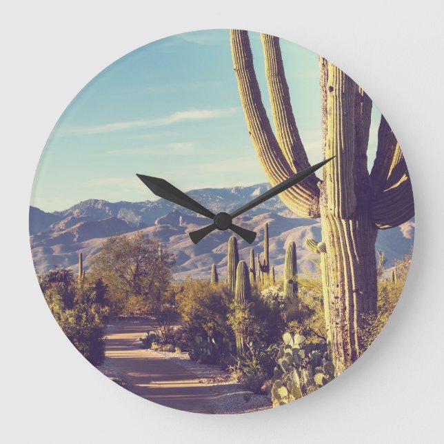 Saguaro National Park, scenic representation. Large Clock (Front)