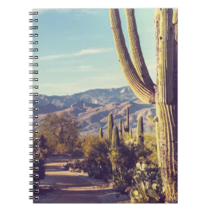 Saguaro National Park, scenic representation. Notebook