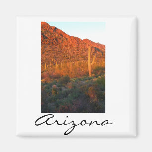 Saguaro National park sunset Magnet