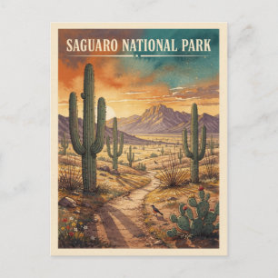 Saguaro National Park Vintage Travel Postcard