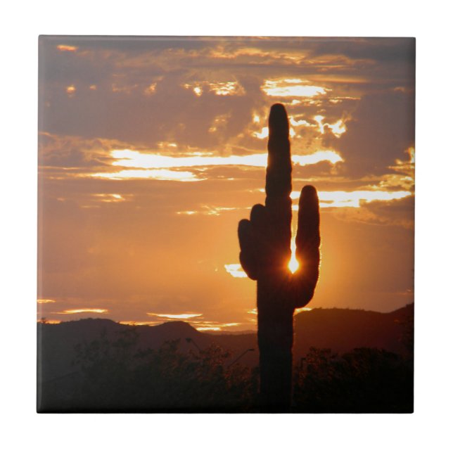 Saguaro Rays Ceramic Tile (Front)