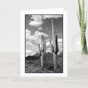 Saguaro Sentinels Greeting Card