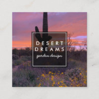 Saguaro Sunset Desert Garden Photo Travel Tourism