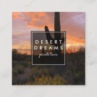 Saguaro Sunset Desert Garden Photo Travel Tourism