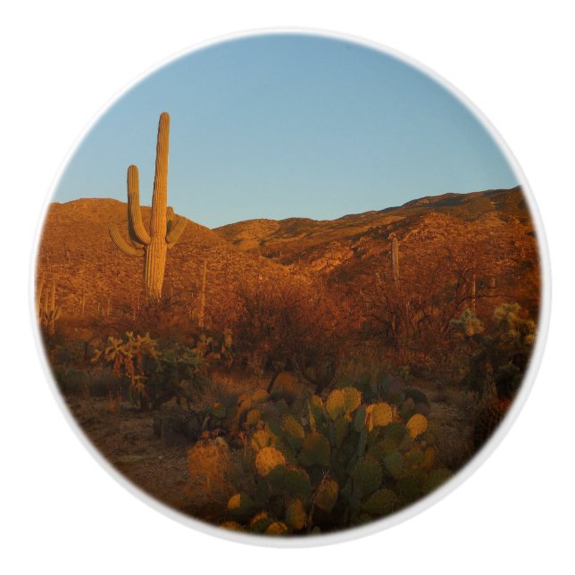 Saguaro Sunset I Arizona Desert Landscape Ceramic Knob (Front)