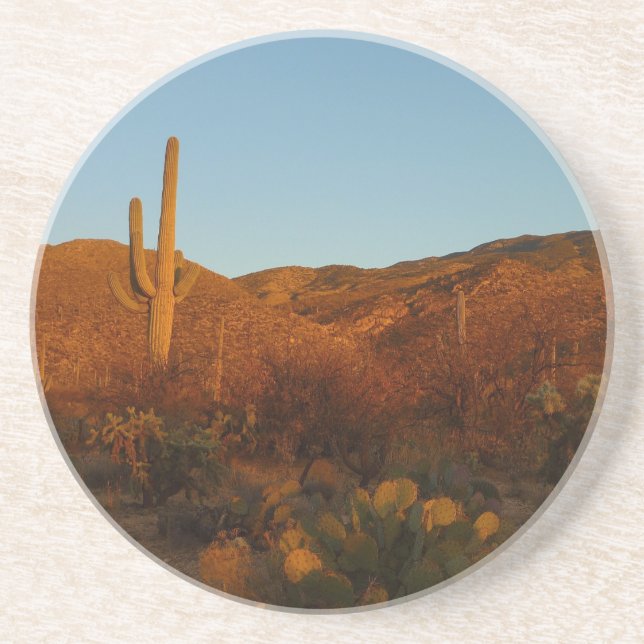 Saguaro Sunset I Arizona Desert Landscape Coaster (Front)