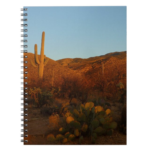 Saguaro Sunset I Arizona Desert Landscape Notebook (Front)