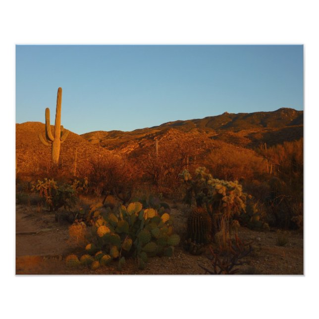 Saguaro Sunset I Arizona Desert Landscape Photo Print (Front)