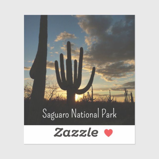 Saguaro Sunset II Arizona Desert Landscape (Sheet)