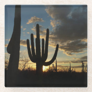 Saguaro Sunset II Arizona Desert Landscape Glass Coaster