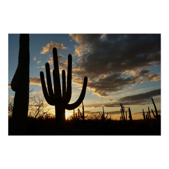 Saguaro Sunset II Arizona Desert Landscape Poster (Front)