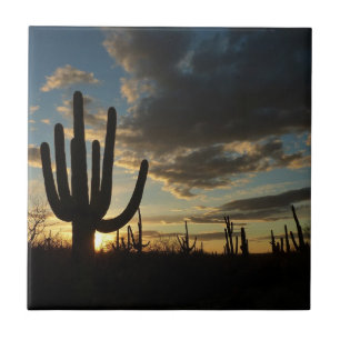 Saguaro Sunset II Arizona Desert Landscape Tile