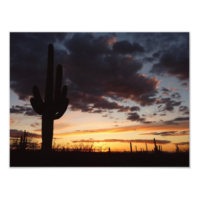 Saguaro Sunset III Arizona Desert Landscape Photo Print (Front)