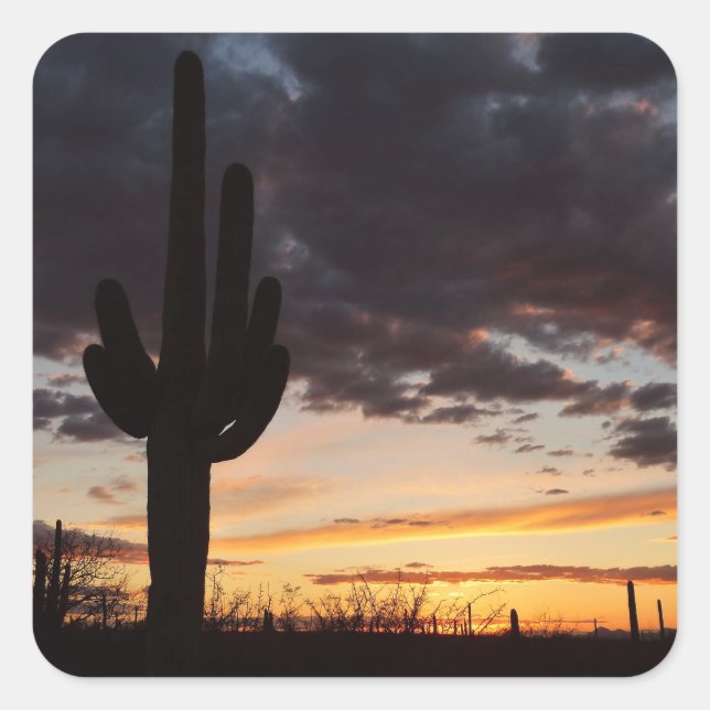 Saguaro Sunset III Arizona Desert Landscape Square Sticker (Front)