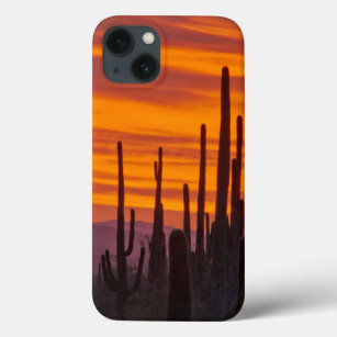 Saguaro, sunset, Saguaro National Park iPhone 13 Case