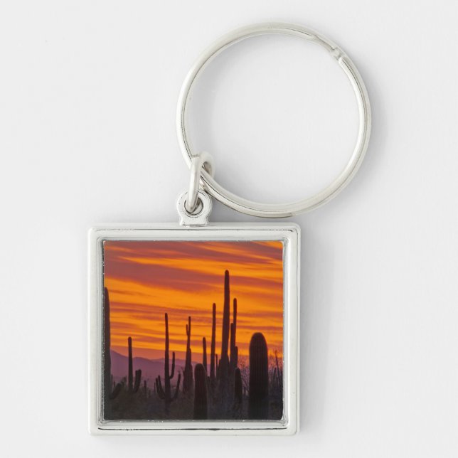 Saguaro, sunset, Saguaro National Park Key Ring (Front)