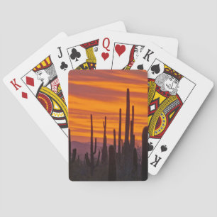 Saguaro, sunset, Saguaro National Park Playing Cards