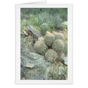 Saguaro Swirl Cacti Note Card or Greeting Cards