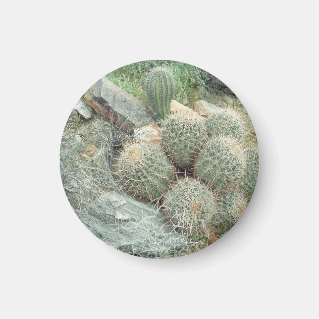 Saguaro Swirl Cactus Refrigerator Gift Magnet (Front)