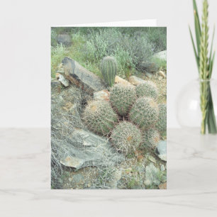 Saguaro Swirl Greeting Card