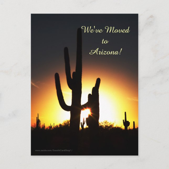 Saguaro with Sun Star, New Address Announcement (Front)