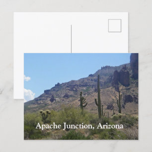 Saguaros and Mountains Postcard