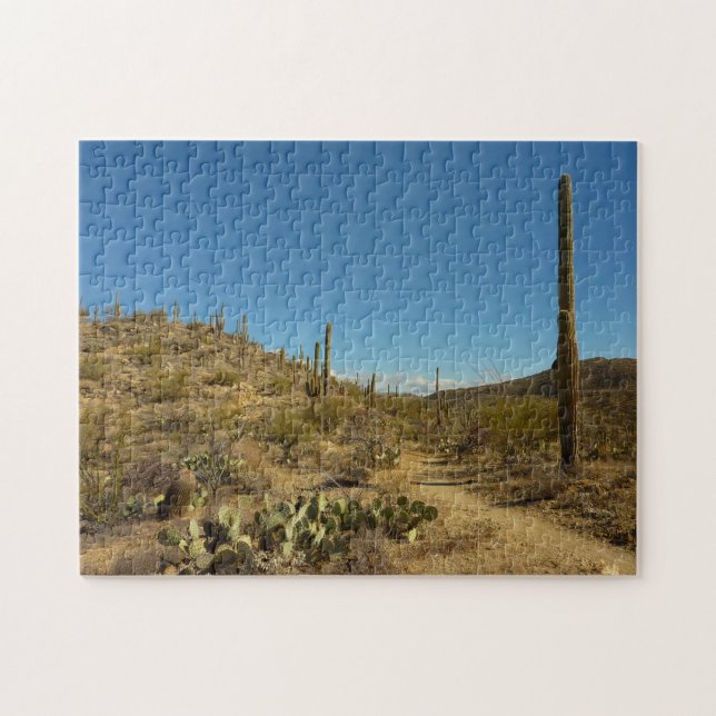Saguaro's Carillo Trail in Saguaro National Park Jigsaw Puzzle (Horizontal)