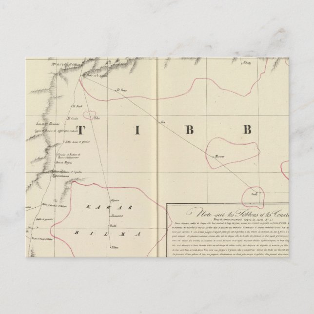 Sahara, Africa 16 Postcard (Front)