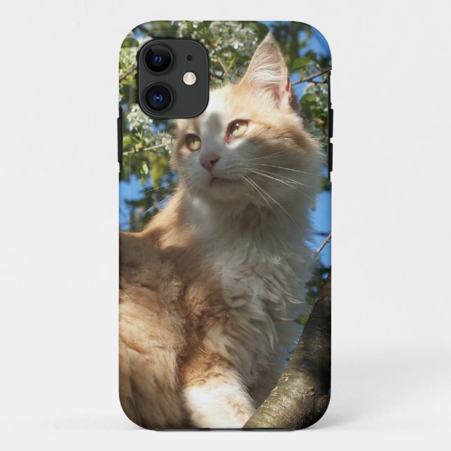 Sahara Cat In A Tree iPhone 5 Case (Back)