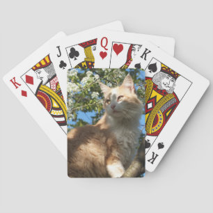Sahara Cat in a Tree Playing Cards