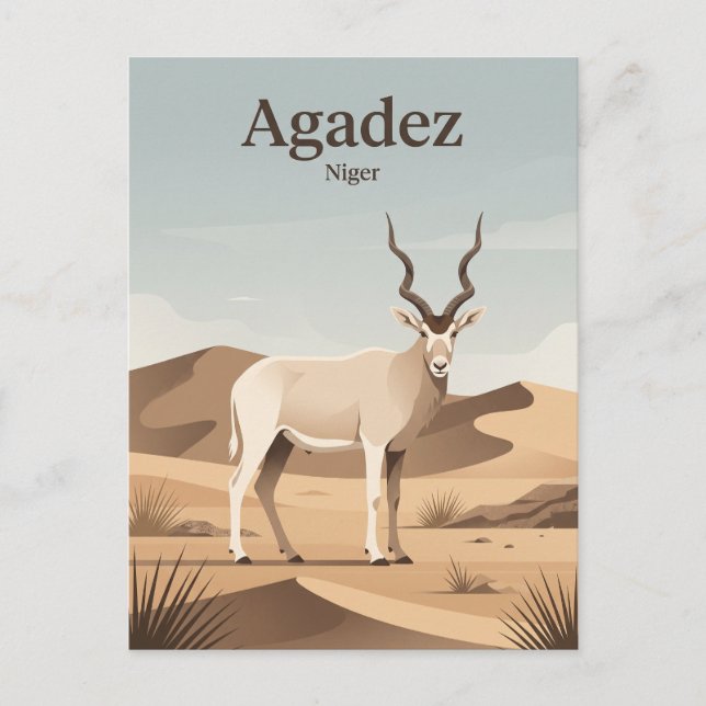 Sahara Desert, Niger Postcard (Front)