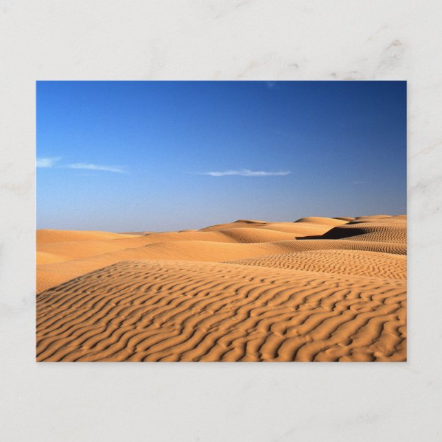 Sahara Desert Tunisia Postcard (Front)