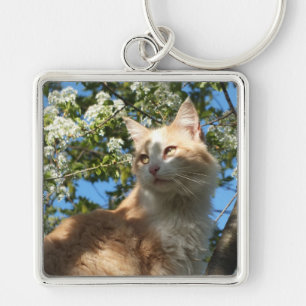Sahara In A Tree Key Chain