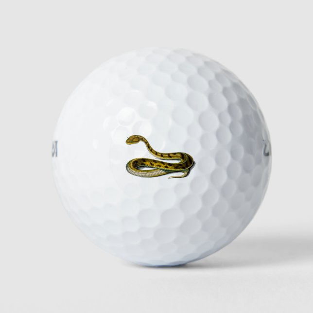 Saharan horned Viper Snake Golf Balls (Front)