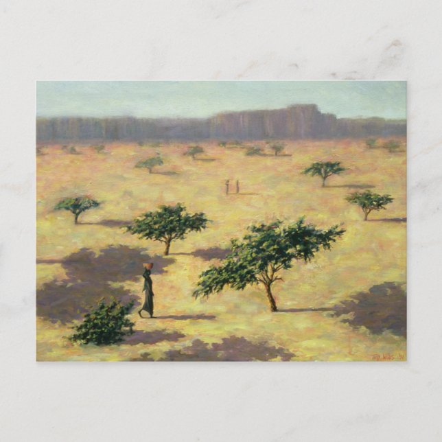 Sahelian Landscape Mali 1991 Postcard (Front)