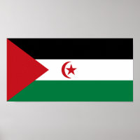 Sahrawi Arab Democratic Republic Flag