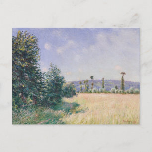 Sahurs Meadows in Morning Sun Postcard