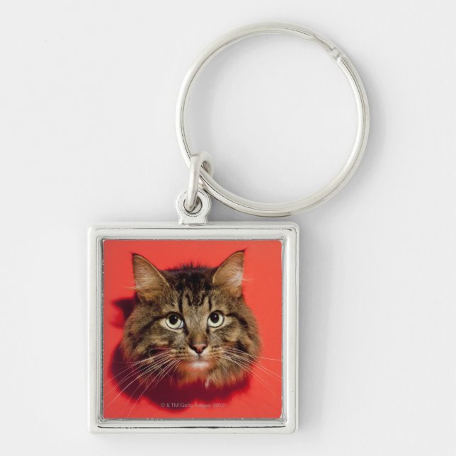 Saiberian cat key ring (Front)