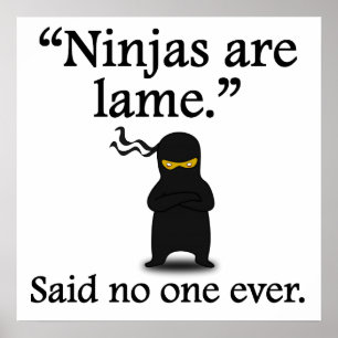 Said No One Ever: Ninjas Are Lame Poster