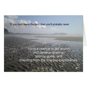 Sail Away From the Safe Harbour