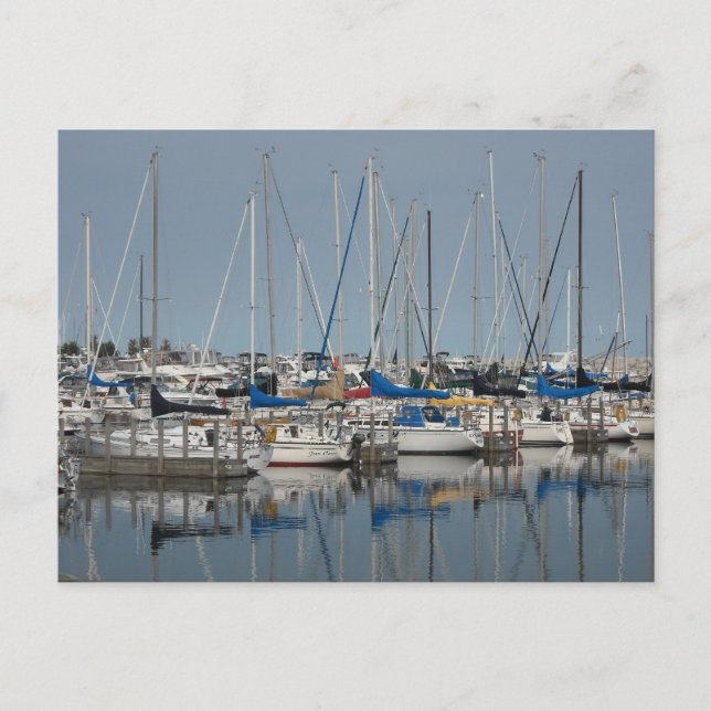 Sail Boat.Yachts Postcard (Front)