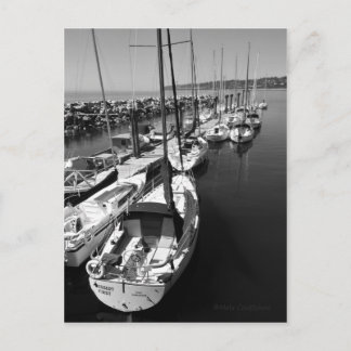 Sail Boats Black and White Postcard