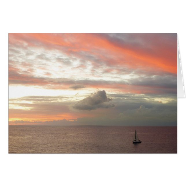 Sailboat in Sunset Beautiful Pink Seascape (Front Horizontal)