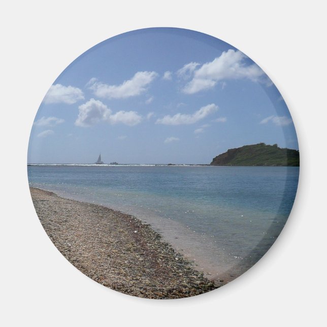 Sailboat in the Distance at St. Thomas Magnet (Front)